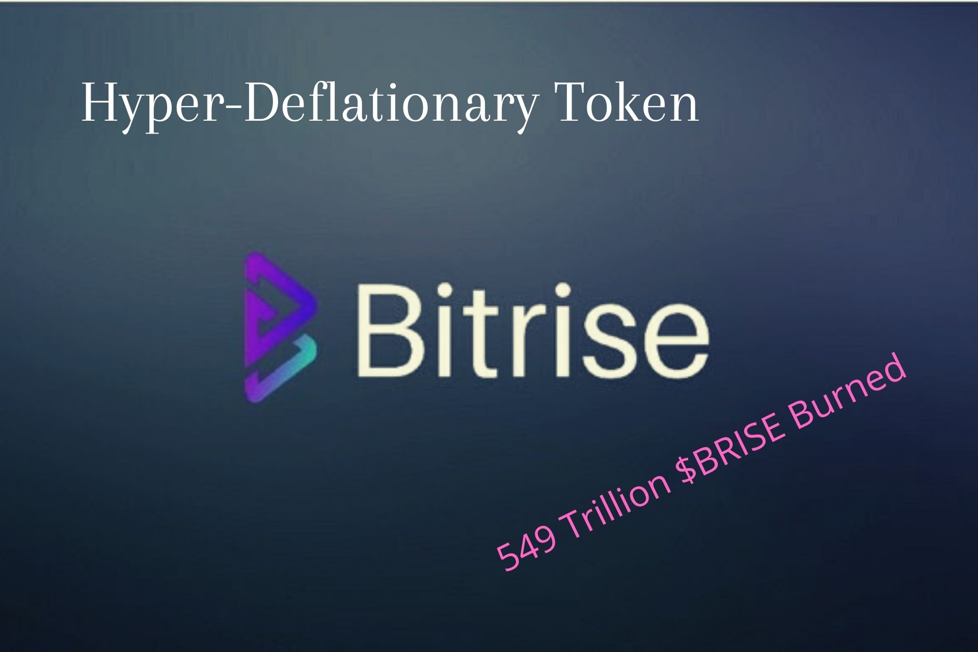 Bitrise | Hyper-Deflationary Token With 549 Trillion ...